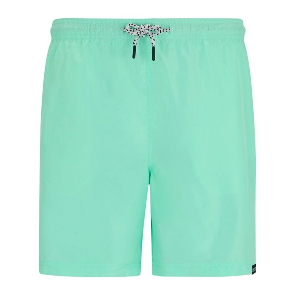 Regatta Mens Mackleyna Swim Shorts / Ice Green